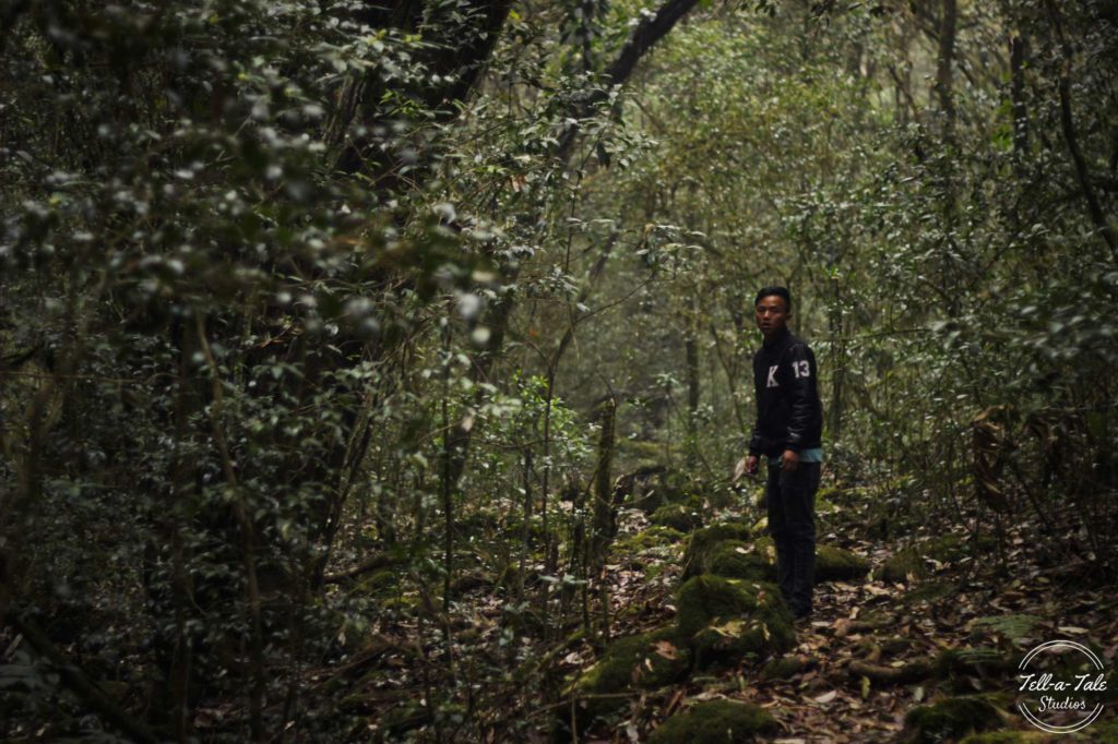 The Sacred Grove - Mawphlang, Meghalaya Mumbai Photography The Sacred Grove - Mawphlang, Meghalaya Mumbai Photography