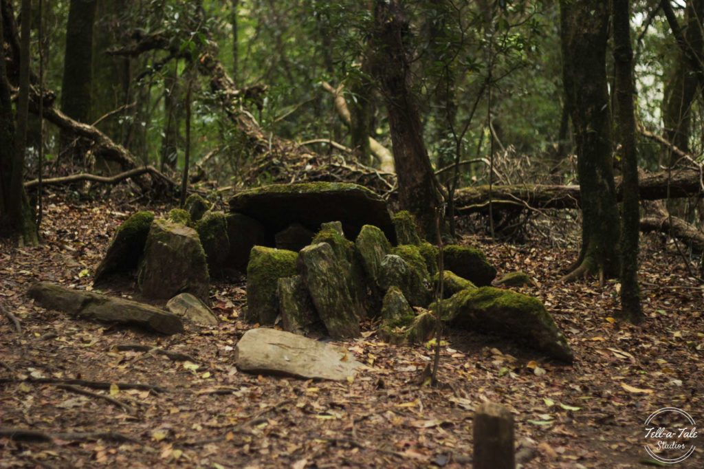 The Sacred Grove - Mawphlang, Meghalaya Mumbai Photography The Sacred Grove - Mawphlang, Meghalaya Mumbai Photography