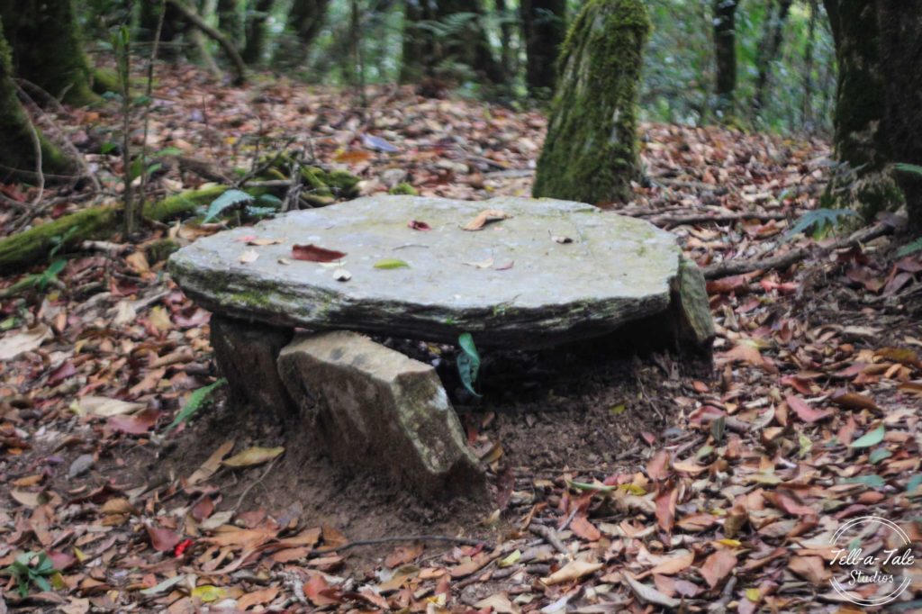 The Sacred Grove - Mawphlang, Meghalaya Mumbai Photography The Sacred Grove - Mawphlang, Meghalaya Mumbai Photography