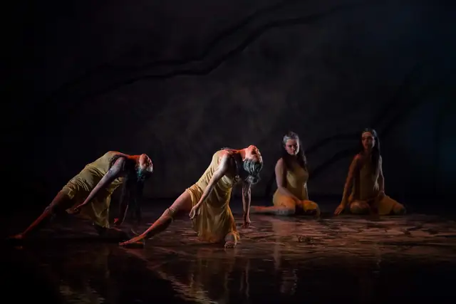 Australia Festival in India cultural programme